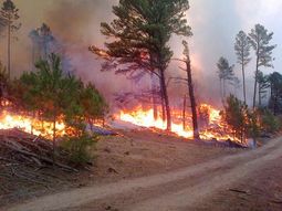 hay cuatro heridos graves por los incendios en cordoba hay cuatro heridos graves por los incendios en cordoba