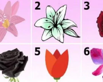 Tus pensamientos más profundos según la flor que elijas.