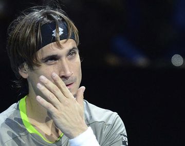 David Ferrer