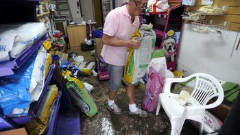 aseguradoras analizan implementar coberturas por inundacion aseguradoras analizan implementar coberturas por inundacion