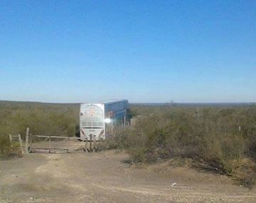 Foto: diario de Río Negro.