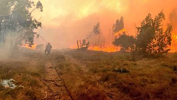 Bomberos pidió llamar al 911 en caso de incendio. Bomberos pidió llamar al 911 en caso de incendio.