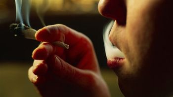 un famoso musico dejo de fumar marihuana para dar el ejemplo a sus nietos un famoso musico dejo de fumar marihuana para dar el ejemplo a sus nietos