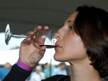 En 2012 se vendieron 55 millones de botellas de vino en la Argentina