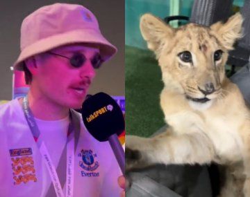 Buscaban cerveza en Qatar y terminaron jugando con leones en el palacio de un jeque