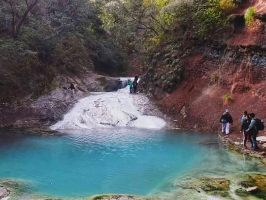 El pueblo selvático que está rodeado de árboles y naturaleza