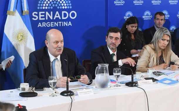 Federico Sturzenegger defendió su proyecto en comisiones del Senado. Federico Sturzenegger defendió su proyecto en comisiones del Senado.