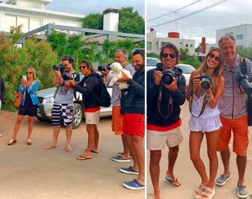 Pampita en Punta