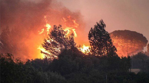 Incendios en Grecia: los bomberos aseguran que las llamas están controladas
