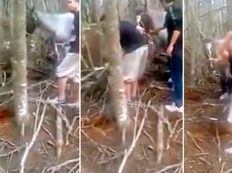 Matan a un caballo a mazazos. Matan a un caballo a mazazos.