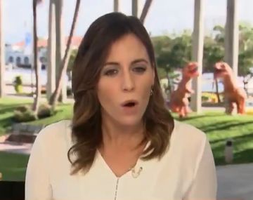 Pelea de dinosaurios en un noticiero en vivo