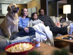Las mascotas son los compañeros ideales para maratonear en Netflix