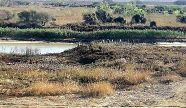 Detuvieron a cinco cazadores por provocar un incendio en el delta del Paraná
