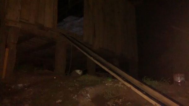 Gendarmería arrestó a dos hombres que intentaban contrabandear soja a Brasil