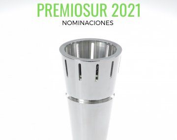 Todos los nominados para los Premios Sur