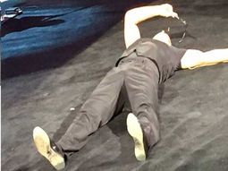 Luis Miguel, al piso en pleno show