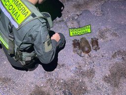 efectivos de gendarmeria evitaron el contrabando de cuarzo y animales en peligro de extincion efectivos de gendarmeria evitaron el contrabando de cuarzo y animales en peligro de extincion