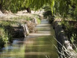 Canal Flores. Cortesía diario Andino
