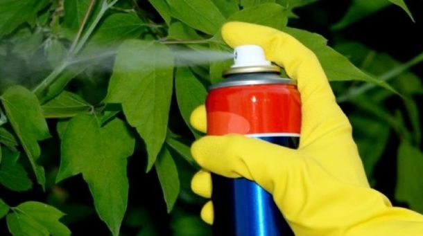 Prohibieron la venta y el uso de siete insecticidas en todo el país