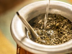 Día Nacional del Mate: cuanto toma cada argentino por año