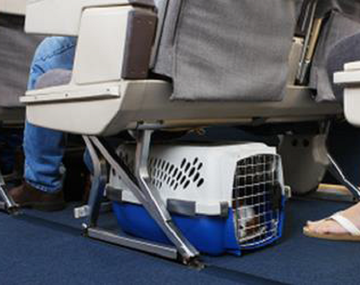 AA confirmó cómo será viajar con mascotas