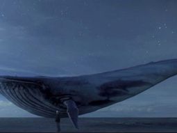 La ballena azul, el juego que llevó a adolescentes al suicidio La ballena azul, el juego que llevó a adolescentes al suicidio