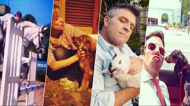 Los periodistas muestran a sus mascotas en el  Día del Animal