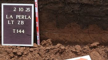 confirmaron la identidad de cuatro de los 11 desaparecidos hallados en la perla confirmaron la identidad de cuatro de los 11 desaparecidos hallados en la perla