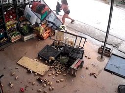 furia en la plata: una mujer destrozo una verduleria con un ladrillo furia en la plata: una mujer destrozo una verduleria con un ladrillo