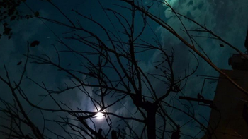 los famosos, testigos de la extrana luz verde en el cielo los famosos, testigos de la extrana luz verde en el cielo