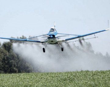 Un productor de tomates