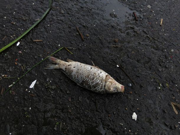 Rige alerta por Sudestada en Capital: ¿hasta cuándo seguirá el mal tiempo?