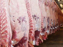 La exportación de carne a China cayó un 43% interanual en octubre. La exportación de carne a China cayó un 43% interanual en octubre.