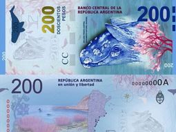 el intendente de puerto madryn ratifico que la ballena en el billete de 200 pesos esta mal el intendente de puerto madryn ratifico que la ballena en el billete de 200 pesos esta mal