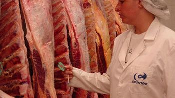 argentina comienza a exportar cortes vacunos de alta calidad a la union europea argentina comienza a exportar cortes vacunos de alta calidad a la union europea