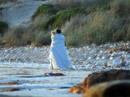 el video hot de liz solari en una playa de punta del este el video hot de liz solari en una playa de punta del este