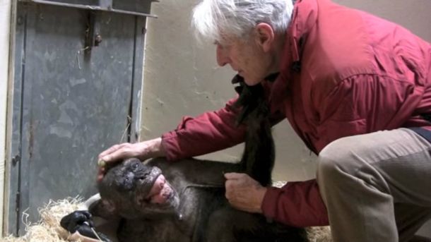 Van Hooff se despidió de Mama