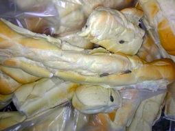 una escuela municipal recibio pan con gusanos una escuela municipal recibio pan con gusanos