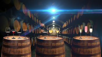 Cada vino tiene su temperatura ideal Cada vino tiene su temperatura ideal