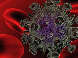 haran prueba a gran escala de vacuna contra el vih haran prueba a gran escala de vacuna contra el vih