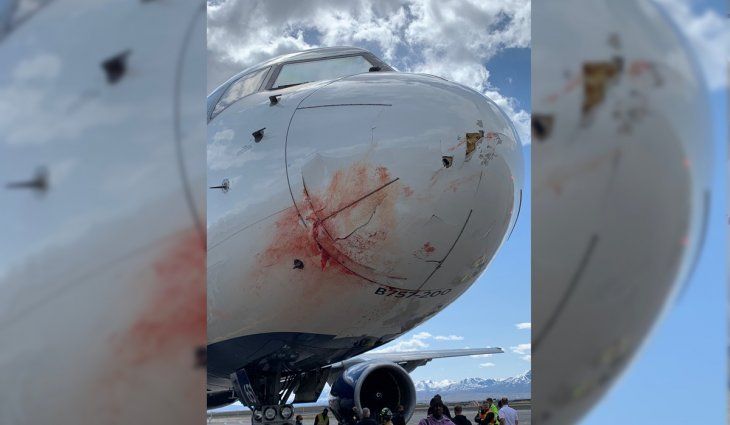 El plantel de Utah Jazz debió aterrizar de emergencia tras chocar con una bandada de pájaros