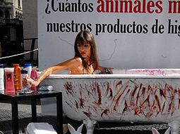 protesta por los animales 2