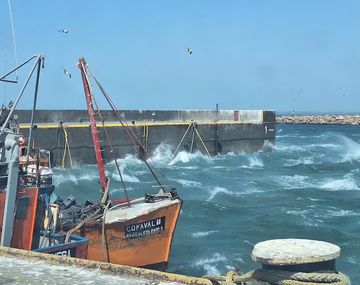 Temporal de viento en la Patagonia provocó incendios