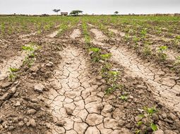 El PIB cayó un 2,5% interanual, principalmente por el impacto de la sequía en el agro. El PIB cayó un 2,5% interanual, principalmente por el impacto de la sequía en el agro.