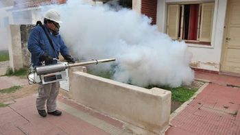 Foto de archivo. Foto de archivo.