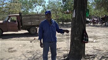 Foto: diario El Tribuno.