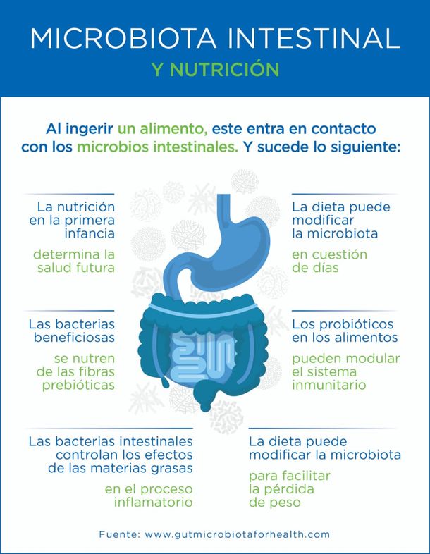 El intestino, ese órgano del que nadie quiere hablar, pero es nuestro segundo cerebro