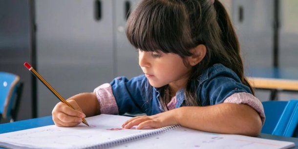 El Gobierno lanzó un nuevo plan de alfabetización.