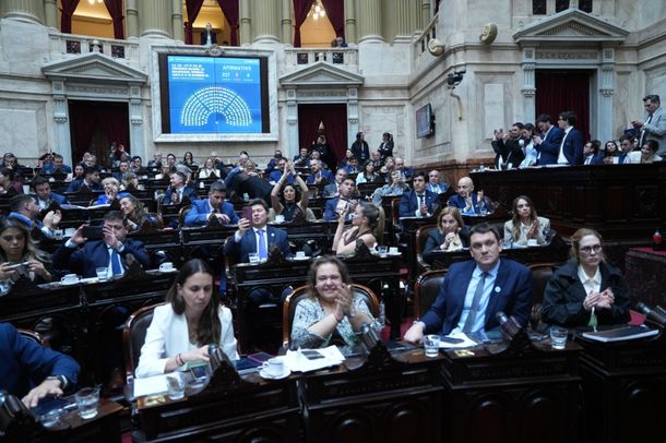 Diputados dio media sanción con abrumadora mayoría a la nueva Ley de Discapacidad