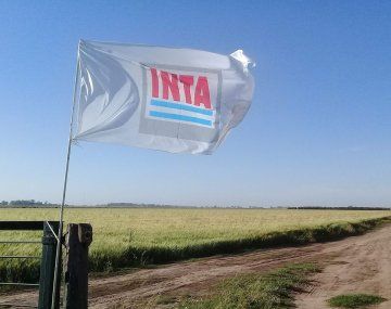 El Gobierno designó autoridades de INTA tras rechazo legislativo a su cierre
